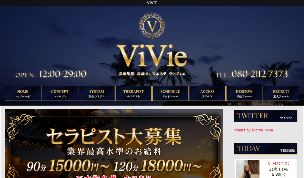 ViVie~ヴィヴィエの画像